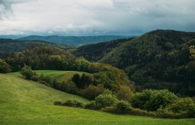 Lebensweg, Wandern, Weitwandern, &copy; Waldviertel Tourismus, Melanie T&ouml;bbe