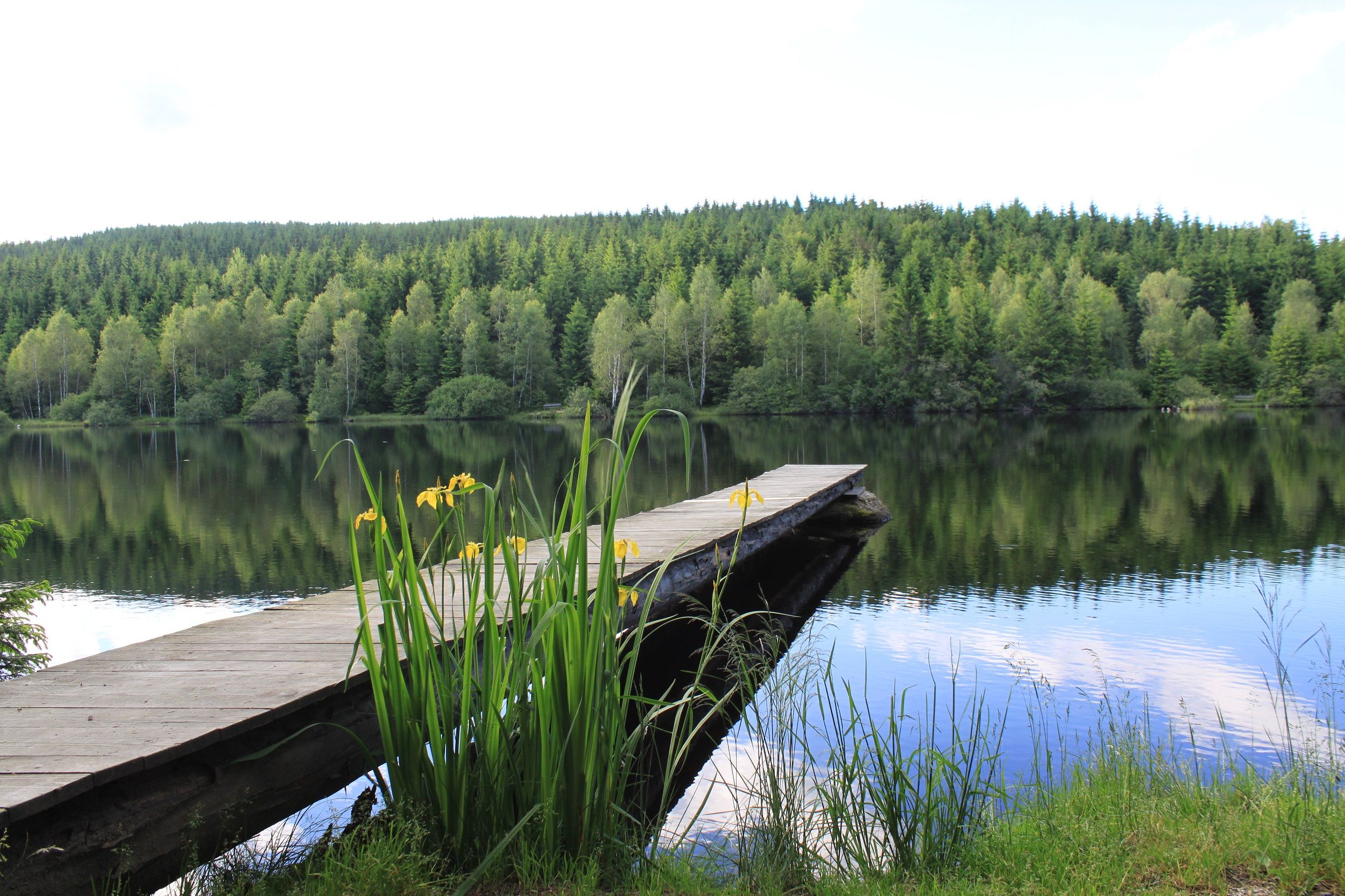 Rybník Schlesinger