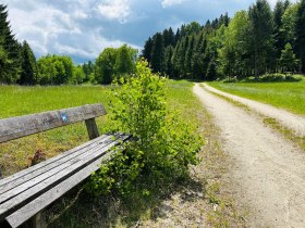 Cesta pri Weitre, &copy; Dr. Markus Peham