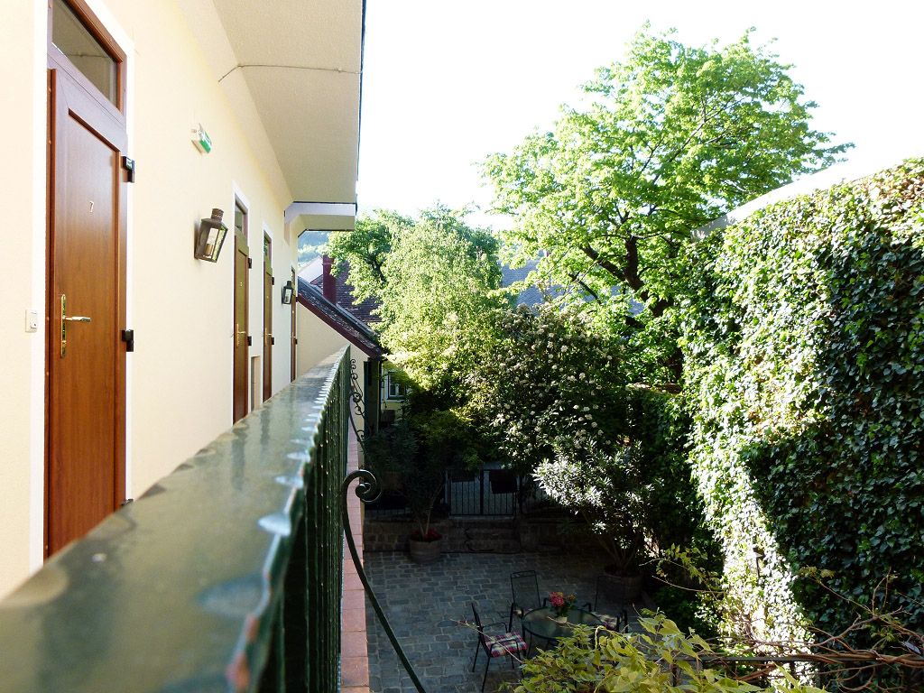 Výhľad z balkóna na zelený vnútorný dvor so stromami a popínavými rastlinami.