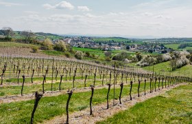 The Zaya Valley, &copy; Michael_Reidinger