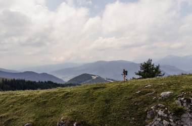 Nechajte svoju myseľ (a nohy) blúdiť na diaľkovej túre., © Niederösterreich Werbung/Franziska Consolati