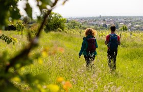 Pohľad na Stratzing, &copy; Wachau-Nibelungengau-Kremstal