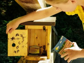 Stempelbox am Weg, &copy; Martina Siebenhandl