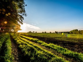 Abendsonne am Mostobstwanderweg, &copy; Str&auml;u&szlig;l-Str&auml;ussl Markus