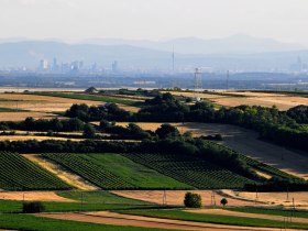 Rundblick von Matzen auf die Karpaten, Wien und den Schneeberg, &copy; Weinviertel Tourismus / Mandl