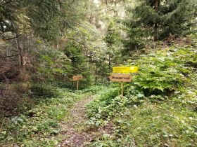 Weg zum Wasserrad, &copy; Marktgemeinde Echsenbach