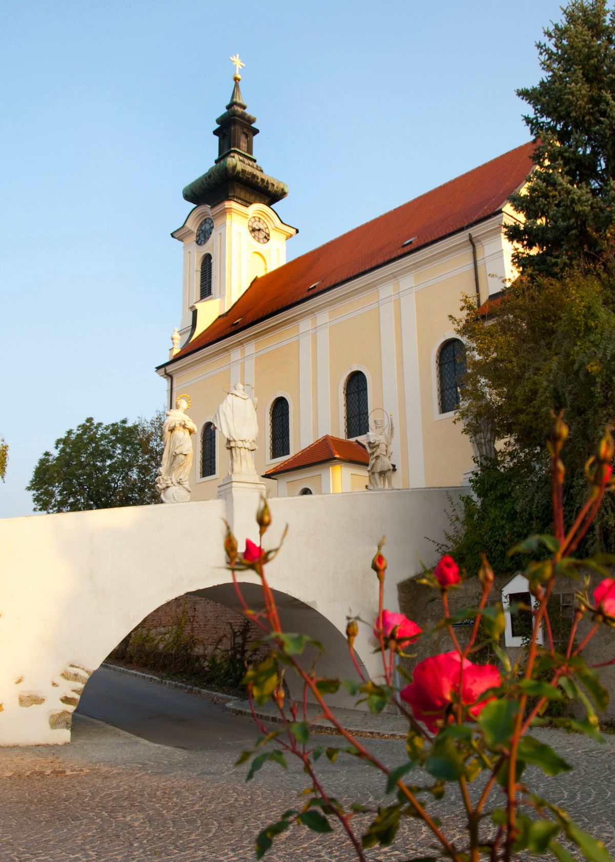 Farský kostol vo Wolkersdorfe so sochami a ružami v popredí.
