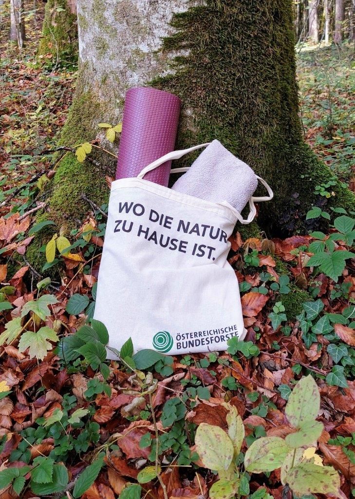 Kúpanie v lese