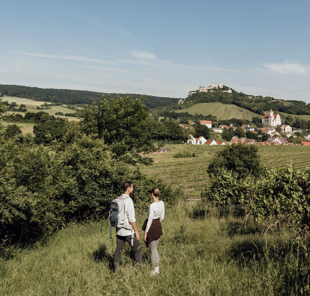 Ein Pärchen genießt die malerische Aussicht auf die sanften Weinberge, die sich bis zur majestätischen Burgruine Falkenstein erstrecken. Die warme Sonne und der klare Himmel schaffen eine einladende Atmosphäre für einen entspannten Tag beim Weinwandern. Hier, umgeben von der Schönheit der Natur, wird der Frühling in vollen Zügen erlebt.