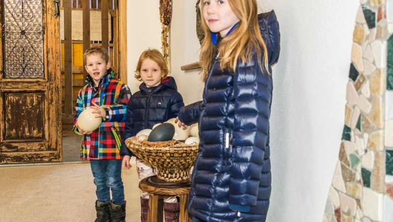 Určenie vajec, &copy; Otto Brandl