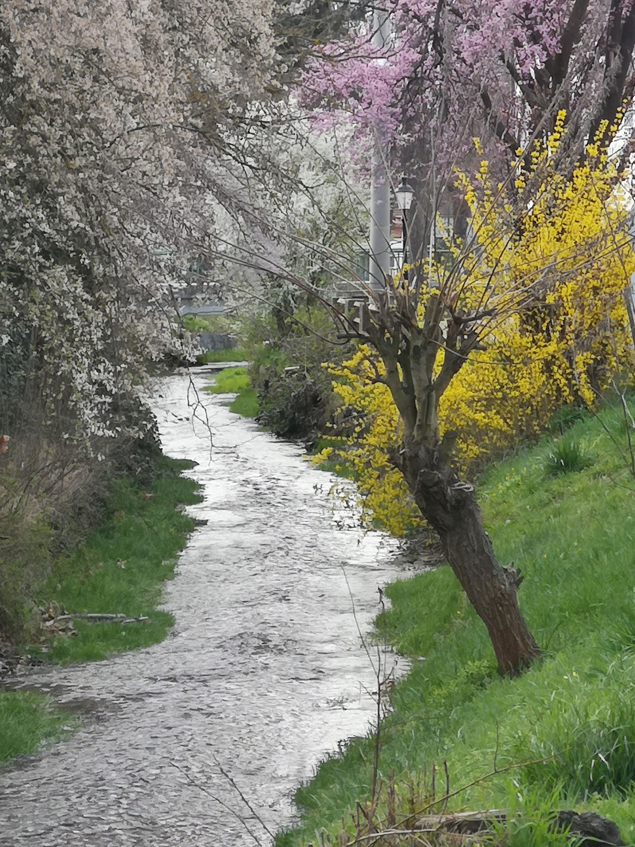 V Gschinzbachu