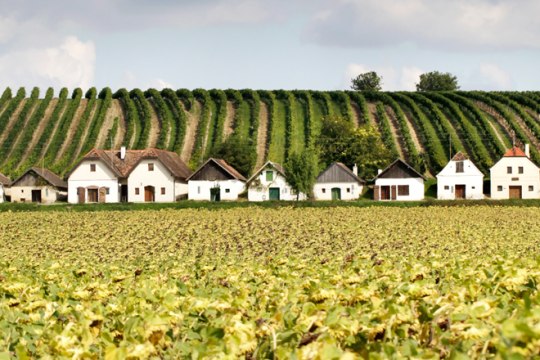 jednoduché a prosté, z nepálenej hliny alebo tehál, pamiatka z 18. storočia. Vínna ulička Diepolz., © Weinviertel Tourismus/Wurnig