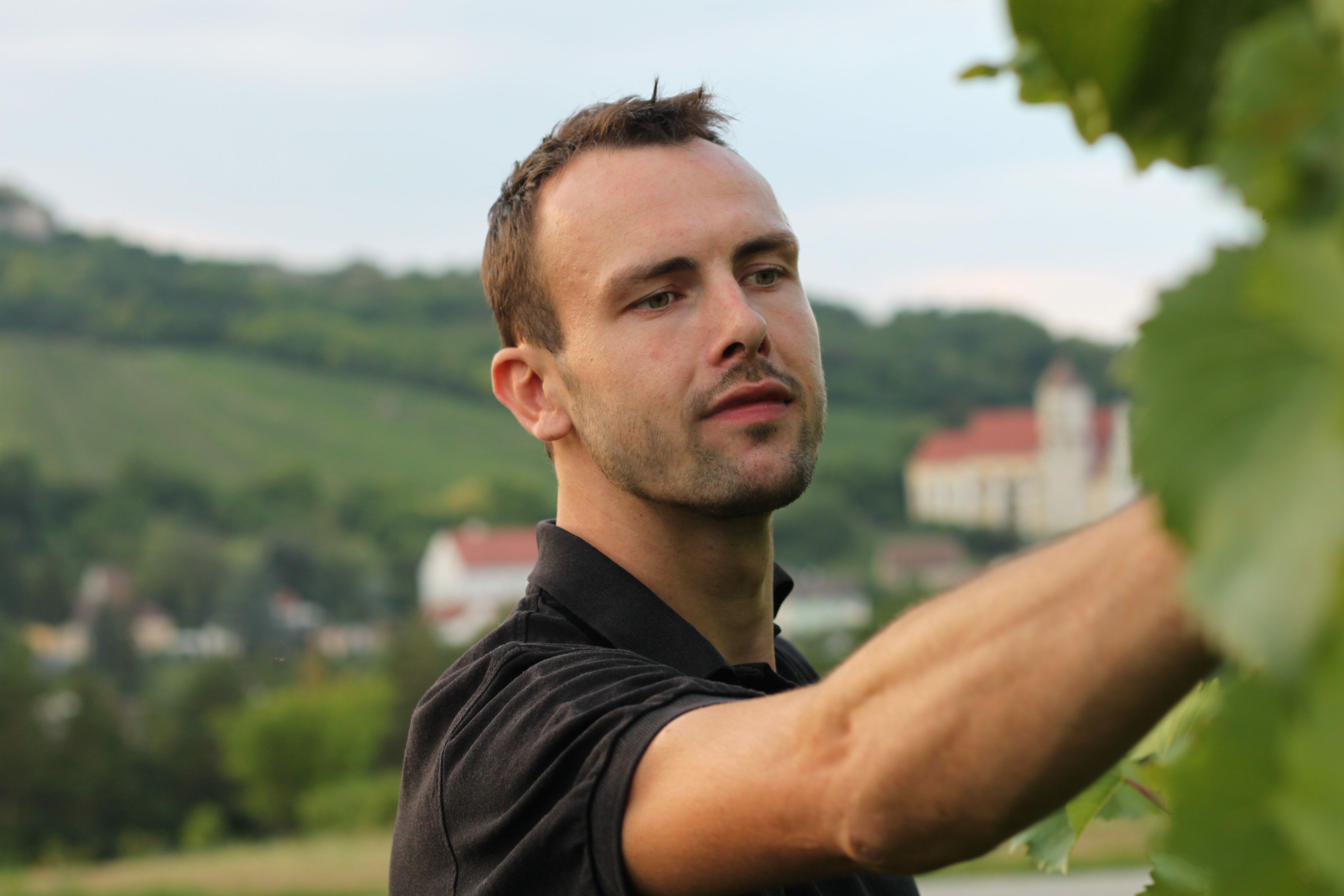 Muž vo vinici kontroluje hrozno a v pozadí je malebná krajina.