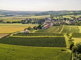 Grossweikersdorf, &copy; Donau Nieder&ouml;sterreich - Kamptal-Wagram-Tullner Donauraum