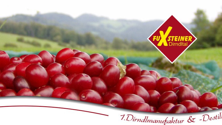 FuXsteiner, &copy; zVg