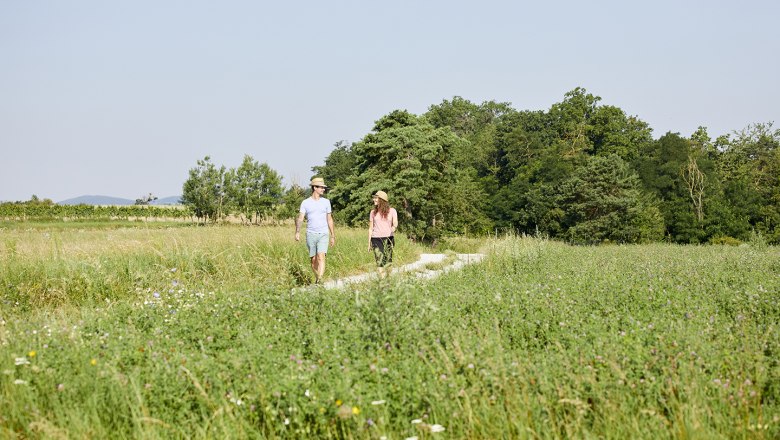 schonbergtourismus-wandernt1_img_1572_crupertpessl_web, &copy; Rupert Pessl