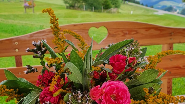 V&yacute;hľad z banky domu, &copy; Melanie Schweighuber