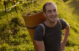 Viticulture Matthias P&ouml;chlinger, &copy; Weinbau Matthias P&ouml;chlinger