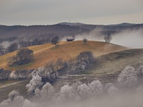 Zimn&aacute; turistika, &copy; Wienerwald Tourismus GmbH / Andreas Hofer