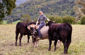 Cattle on the pasture, &copy; Mara Hauck
