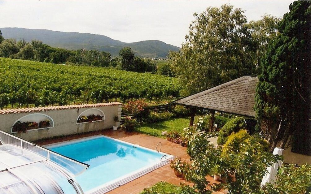 Záhrada s bazénom, pavilónom a vinicami v pozadí.