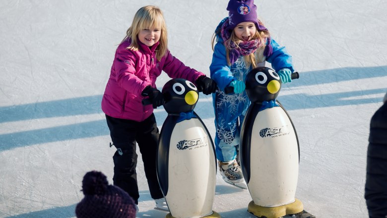 Artificial ice rink Herzogenburg, &copy; Egon Fischer