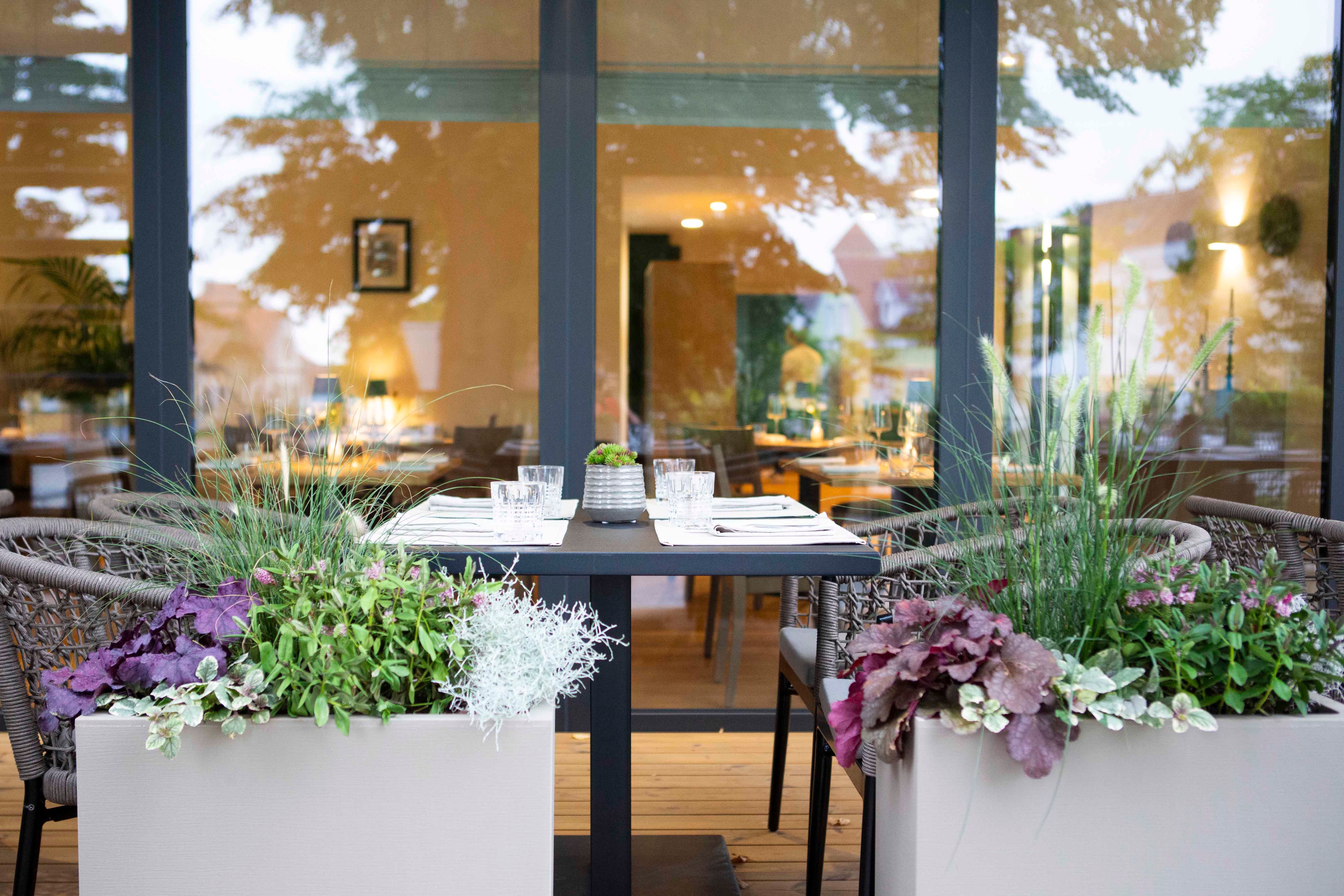 Stôl na terase s rastlinami, výhľad do reštaurácie.