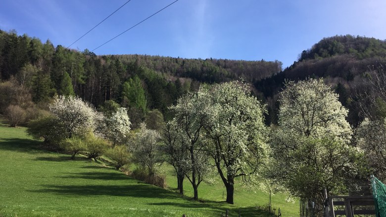 Wanderweg, © Familie Prack