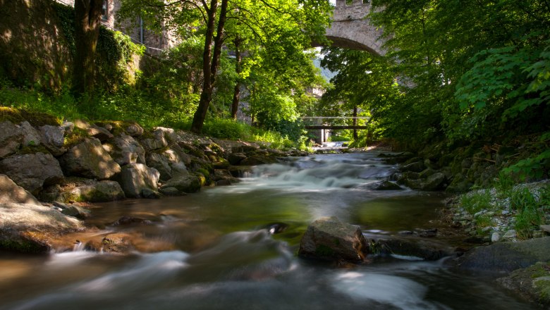 Wild black stream, © Josef Herfert