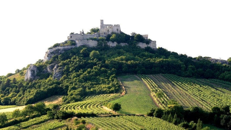 Burgruine Falkenstein(c)Weinort Falkenstein, © Weinort Falkenstein
