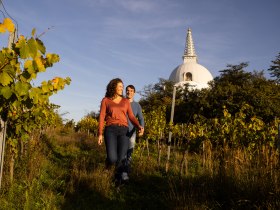 P&aacute;r prech&aacute;dzaj&uacute;ci sa po viniciach, v pozad&iacute; stupa