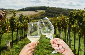 Toasting in the vineyard, &copy; Weinviertel Tourismus / Michael Liebert