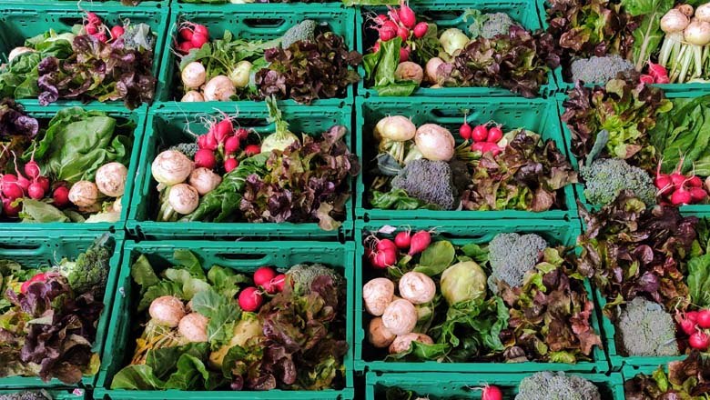 Vegetable crates, © Gutes vom Gutshof
