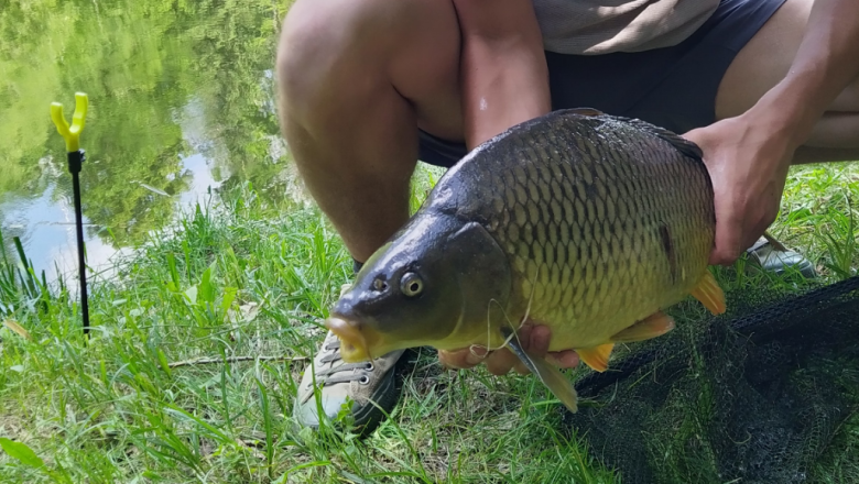 IMG_20200613_160740_2~2, © Gemeinde Pölla