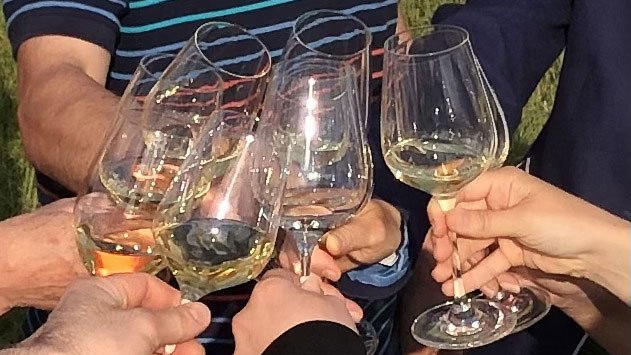 Wine experience hike, &copy; Kamptal Alpakas, Herr Popp