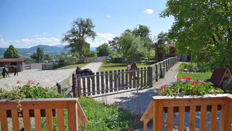 &Uacute;tuln&yacute; karavan na farme Esperanza, &copy; Mag.a Martina Kotzina, Esperanza- Zentrum f&uuml;r tierunterst&uuml;tzte P&auml;dagogik