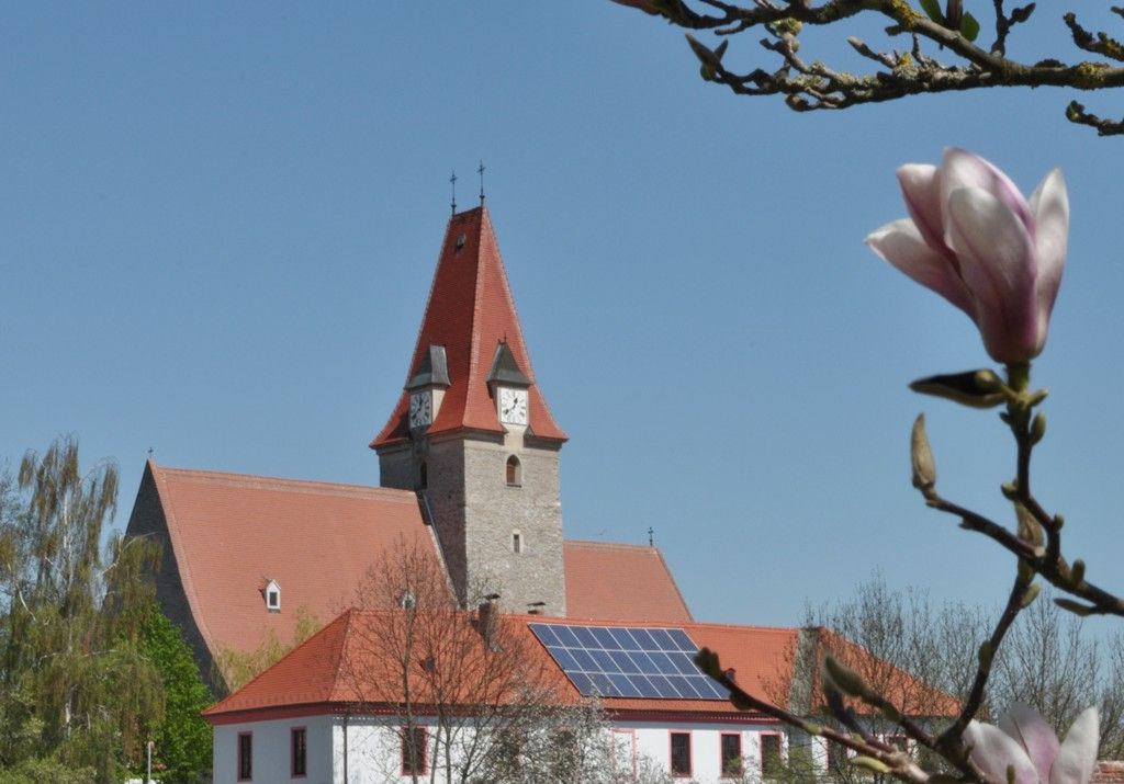 Kostol s červenou strechou a vežou s hodinami, modrá obloha, v popredí kvet magnólie.