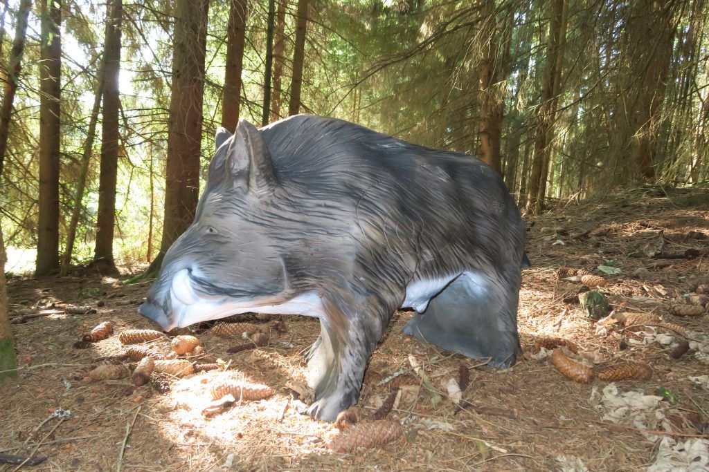 Cieľový kurz