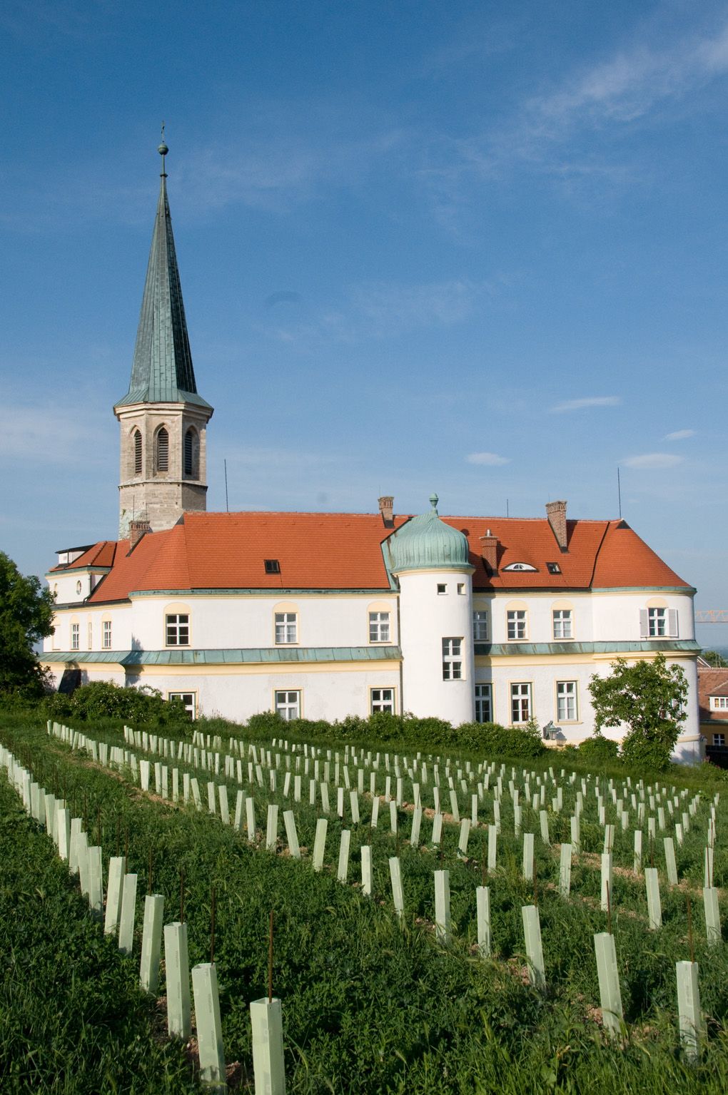 Hrad Gumpoldskirchen s červenou strechou a vežou, obklopený vinicami pod modrou oblohou.