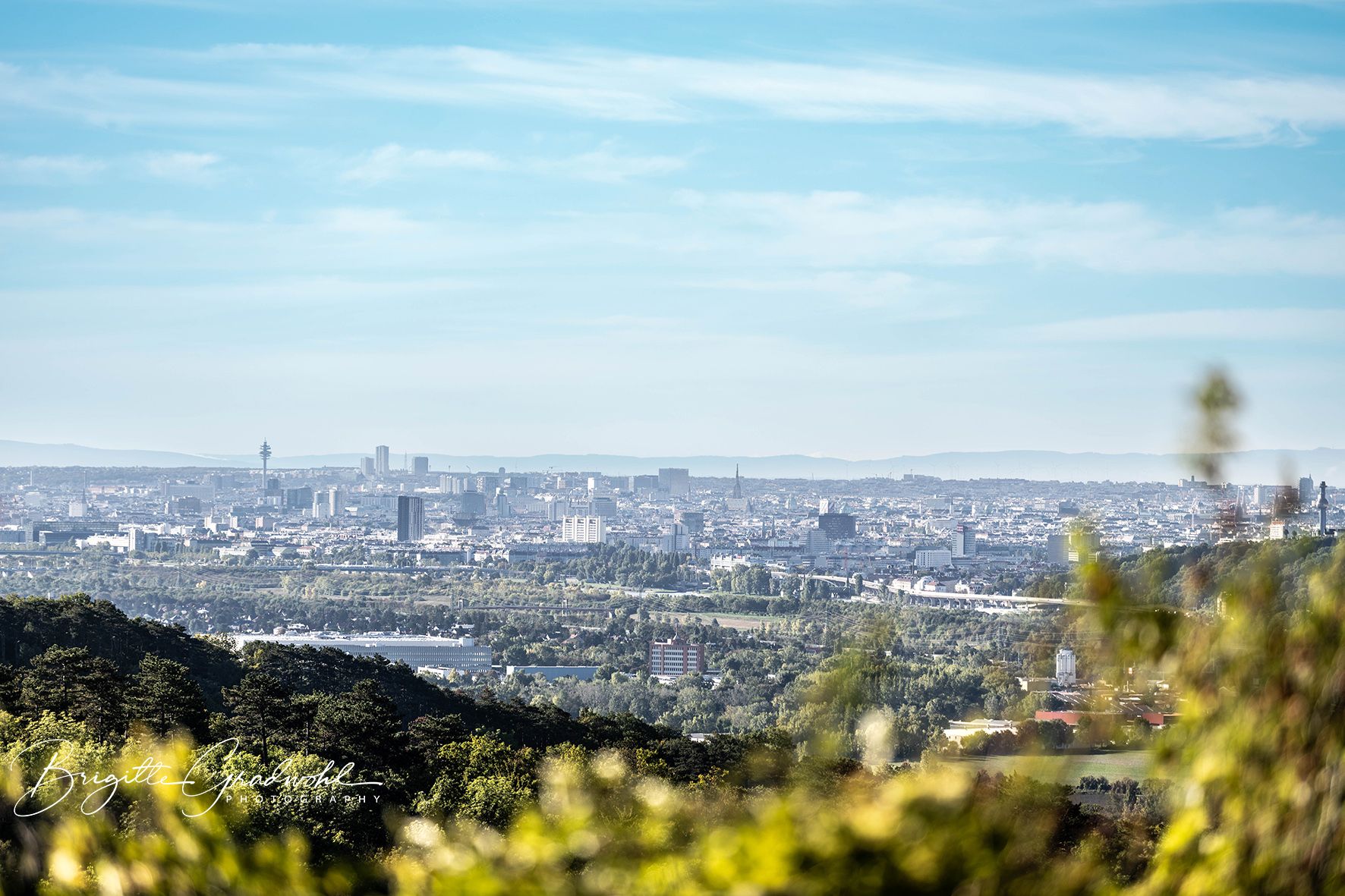 Panoramatický pohľad na mesto s mnohými budovami a televíznou vežou v pozadí, obklopené zelenými kopcami a stromami v popredí.