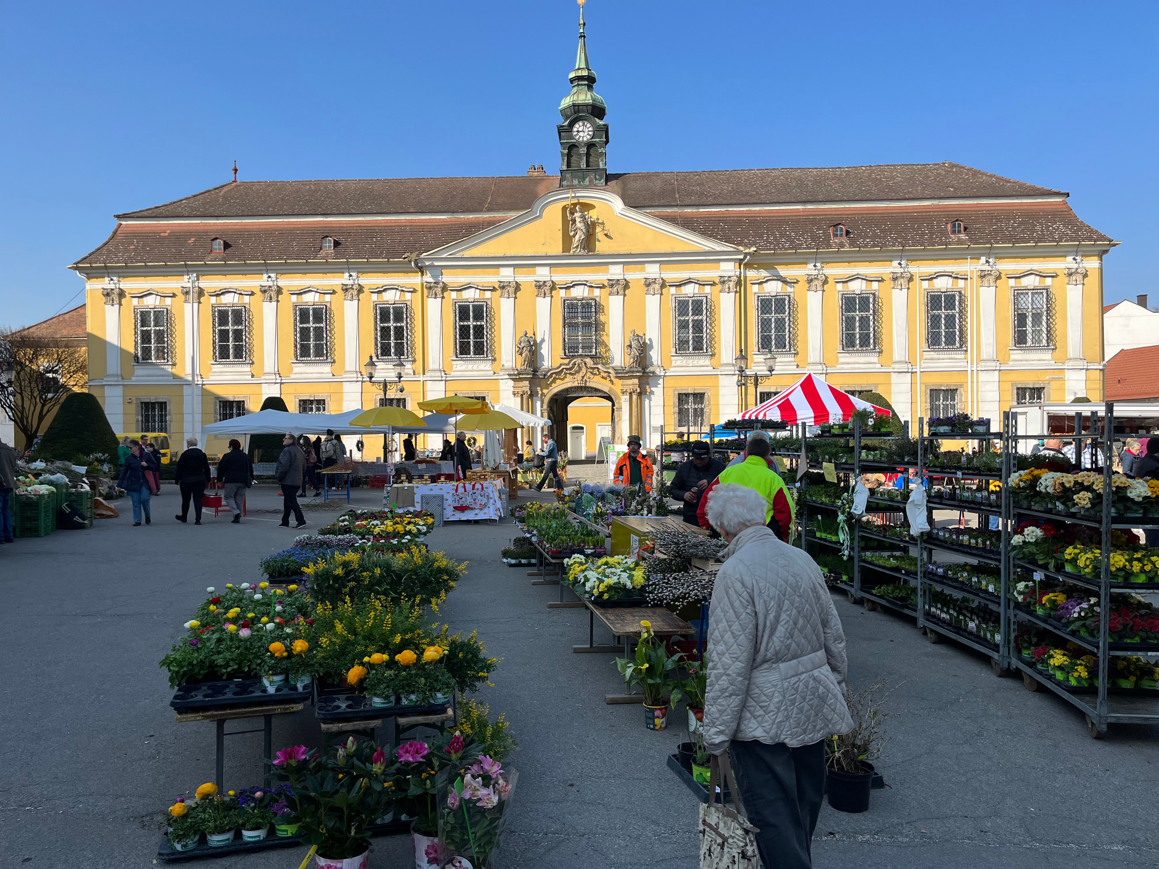 Týždenný trh v Stockerau so stánkami s kvetmi pred žltou barokovou budovou.