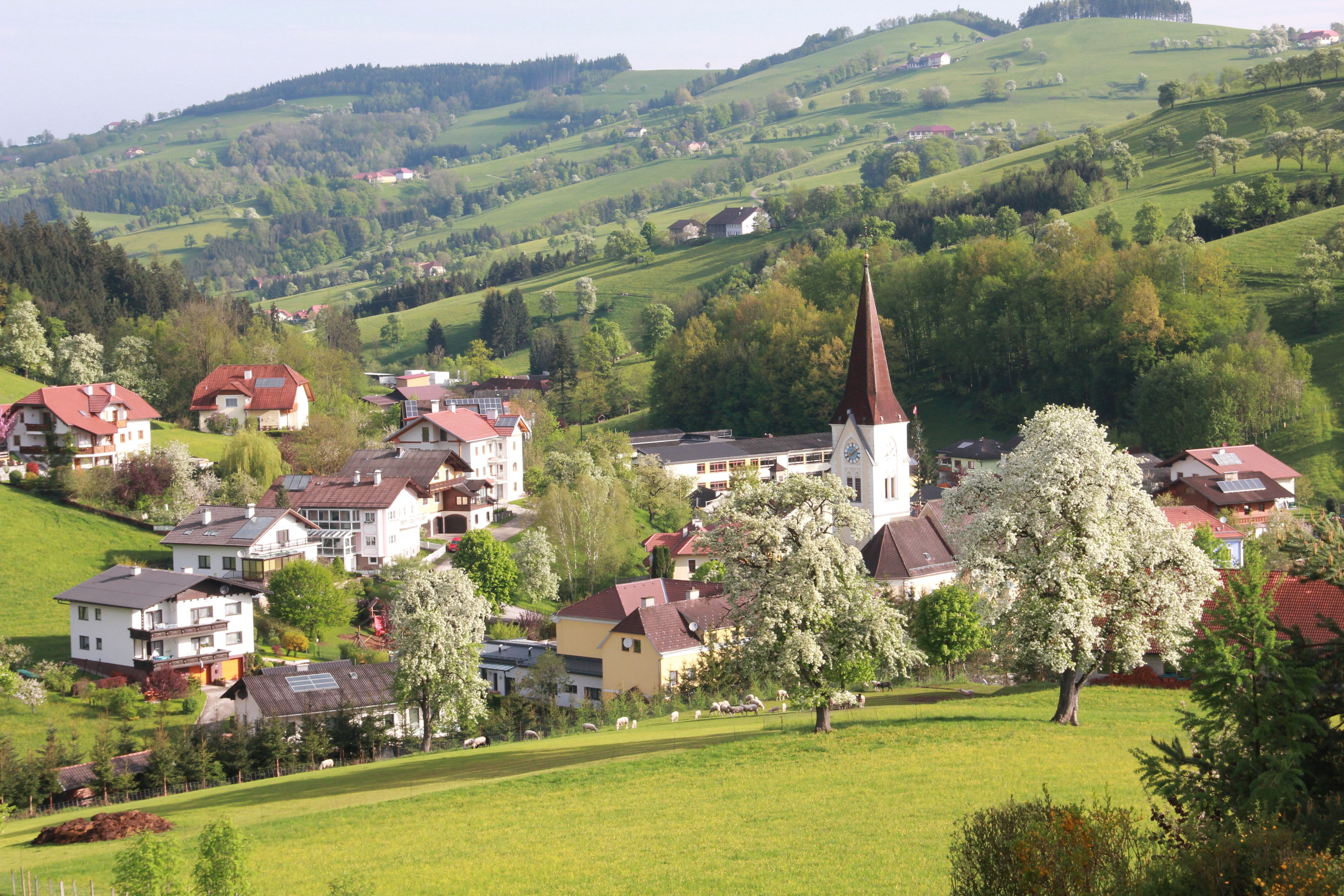 Vidiecka krajina s kostolom a kvitnúcimi stromami.