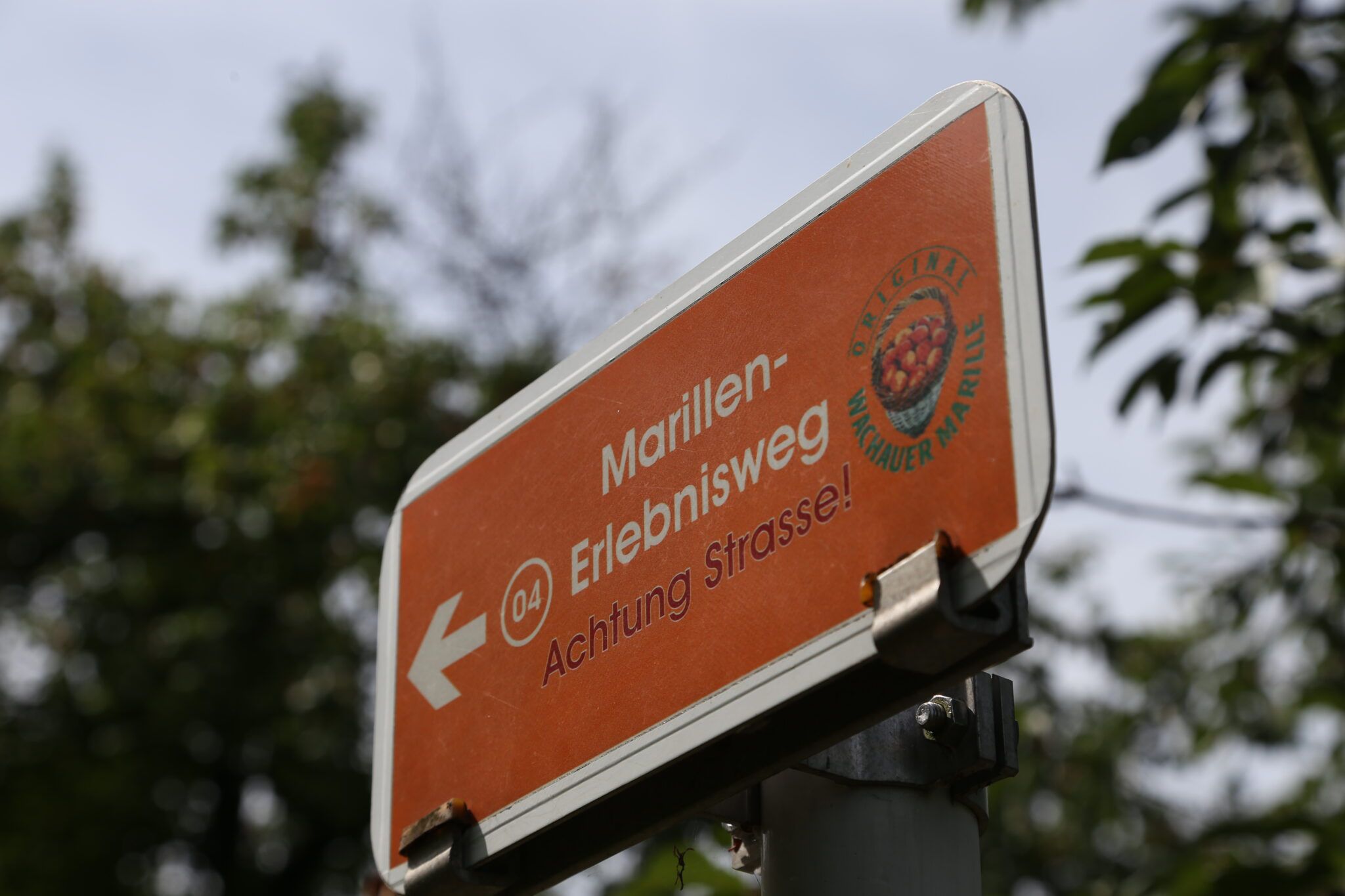 Oranžová značka s nápisom "Marillen-Erlebnisweg" a šípkou smerujúcou doľava. Upozorňuje na cestu.