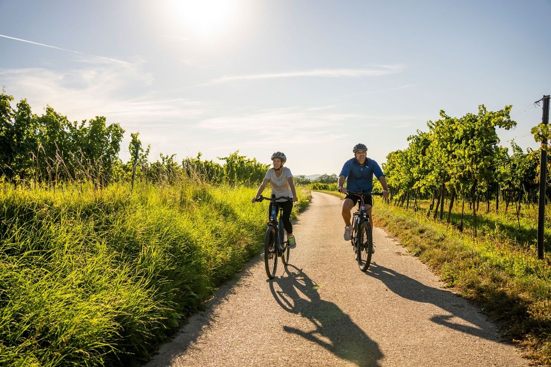 Cyklistika v Kamptal