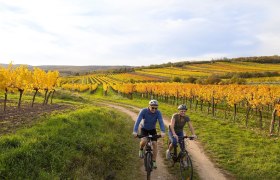 Radfahren im Weinviertel, © Retzer Land / Astrid Bartl