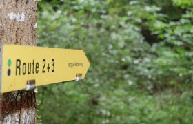 Turistick&aacute; trasa so smerovou &scaron;&iacute;pkou, &copy; "Tut Gut!"