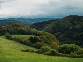 Lebensweg, Wandern, Weitwandern, &copy; Waldviertel Tourismus, Melanie T&ouml;bbe