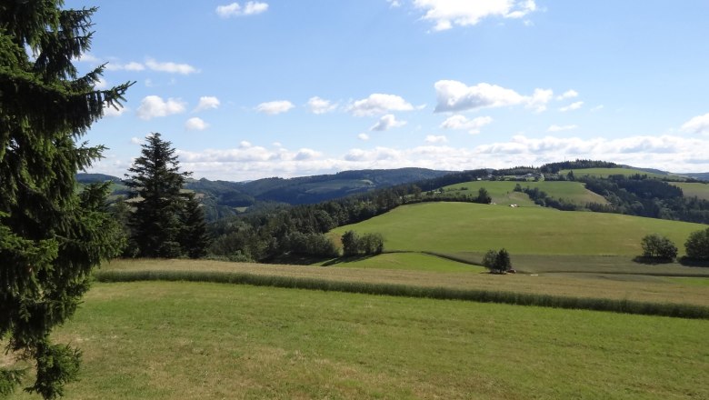 View from the Dreil&auml;ndereck viewing platform, &copy; Marktgemeinde Hochneukirchen-Gschaidt
