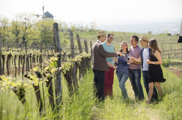 Cestovanie za pôžitkami v regióne Weinviertel, © Weinviertel Tourismus/Astrid Bartl